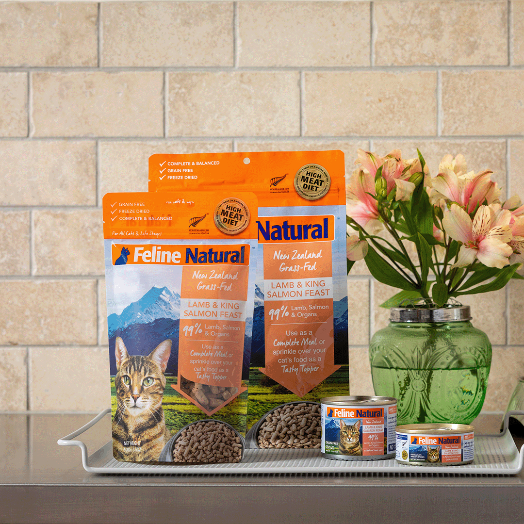 Feline natural freeze 2024 dried cat food