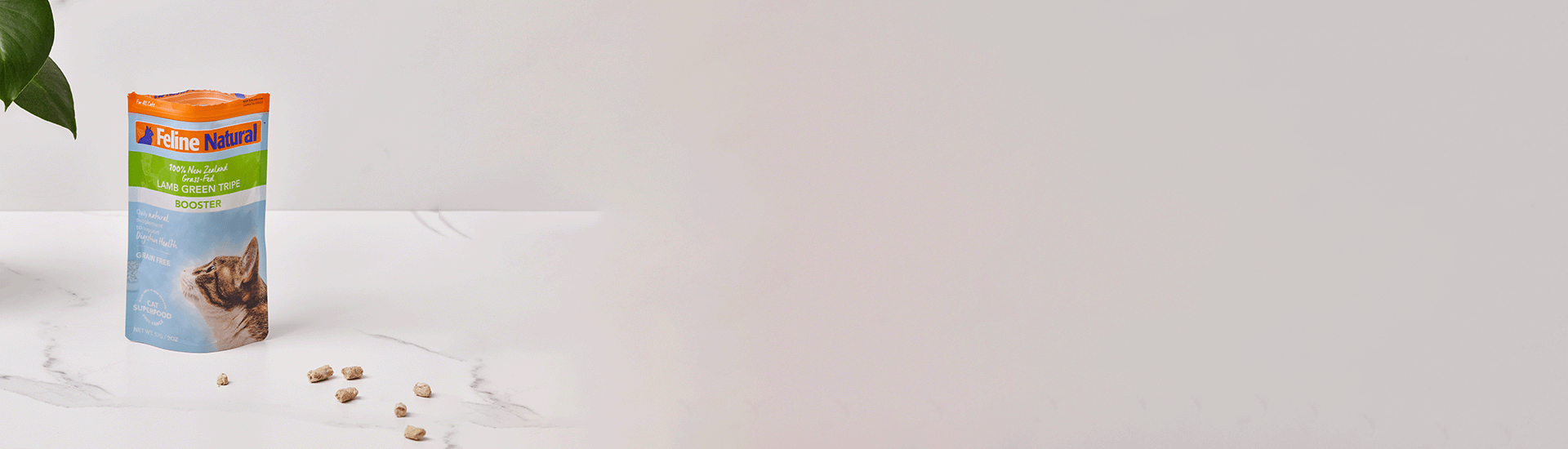 Feline natural 2024 lamb green tripe