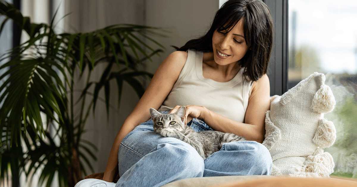 Feline natural website best sale