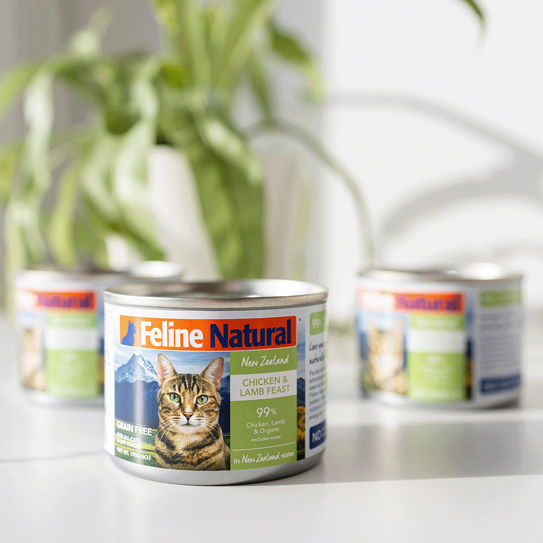 Feline natural top canned food