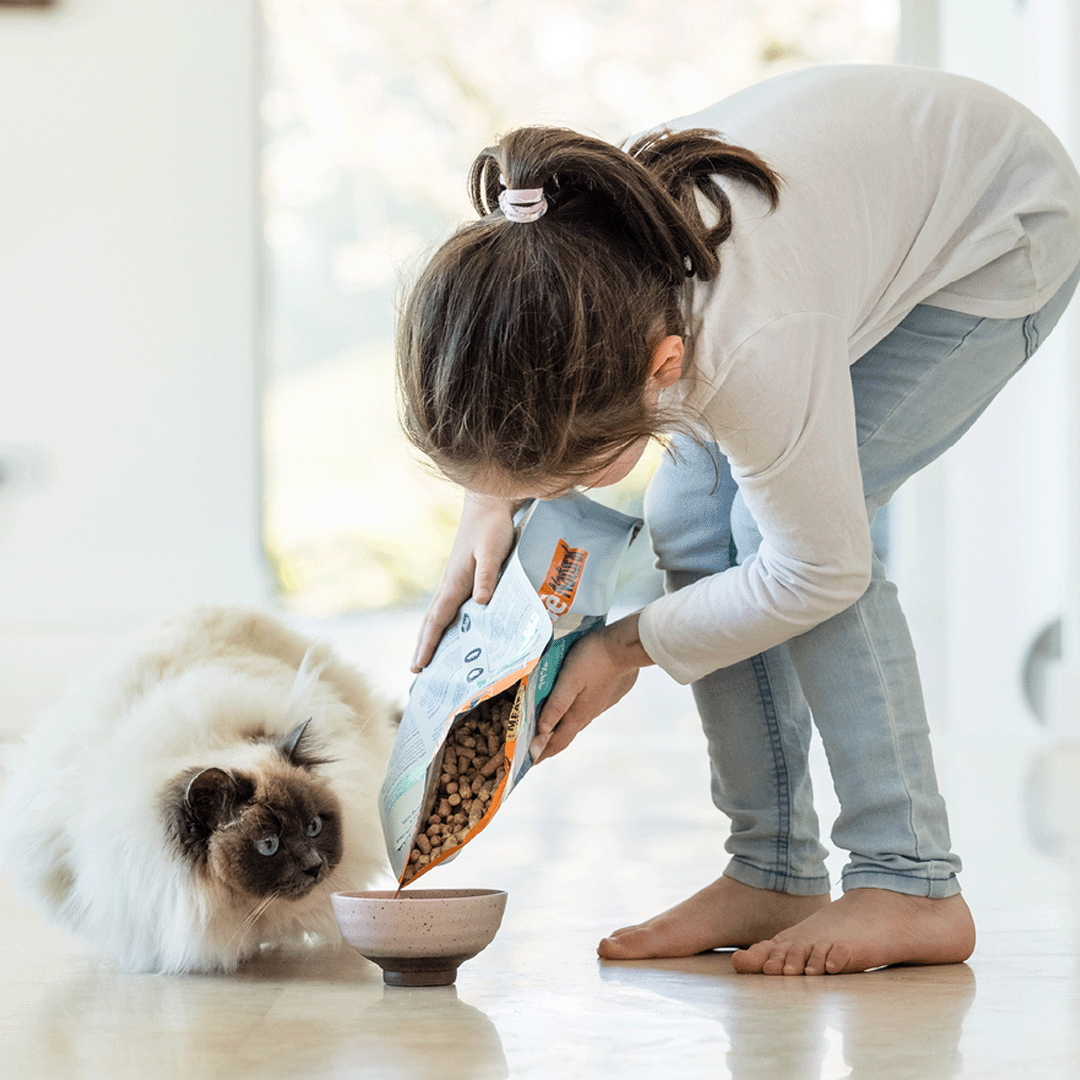 Transitioning Your Cat To New Food Feline Natural